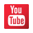 Social Icon